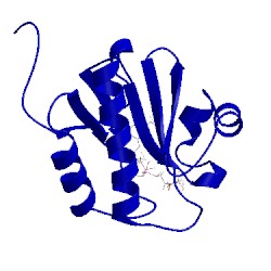 Image of CATH 2l8r