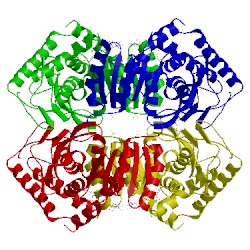 Image of CATH 2ldb