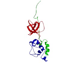 Image of CATH 2lnh