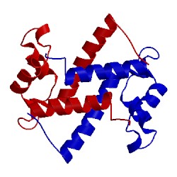 Image of CATH 2luc