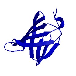 Image of CATH 2lvx
