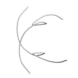 Image of CATH 2lx1