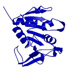 Image of CATH 2lxn