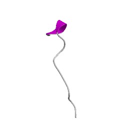 Image of CATH 2ly1A02