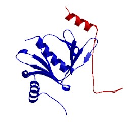 Image of CATH 2lyd