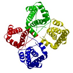 Image of CATH 2lyn