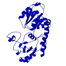Image of CATH 2m6l
