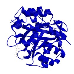 Image of CATH 2man