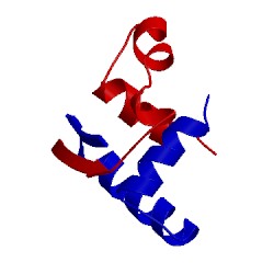 Image of CATH 2mdv