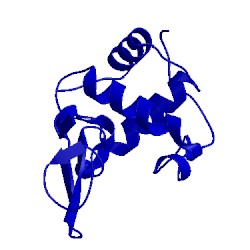 Image of CATH 2meg