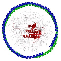 Image of CATH 2msd