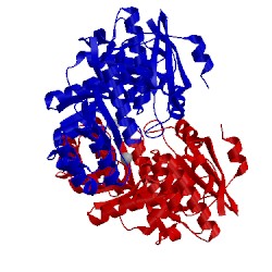 Image of CATH 2muc