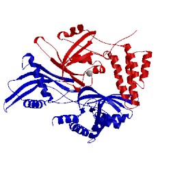 Image of CATH 2mzw