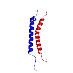 Image of CATH 2n9y