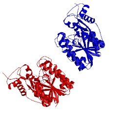 Image of CATH 2nnl