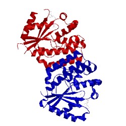 Image of CATH 2no0