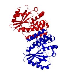 Image of CATH 2no1