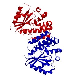 Image of CATH 2no6