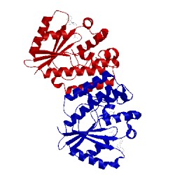 Image of CATH 2no9