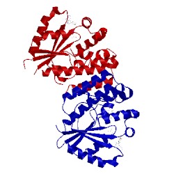 Image of CATH 2noa