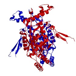 Image of CATH 2nod
