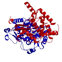 Image of CATH 2nom