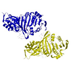Image of CATH 2np6