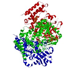 Image of CATH 2np9