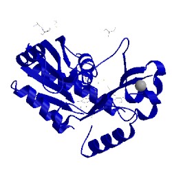 Image of CATH 2npn