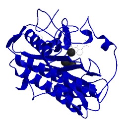 Image of CATH 2nq7
