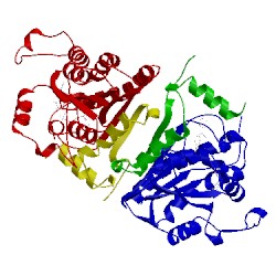 Image of CATH 2nq8