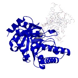 Image of CATH 2nq9