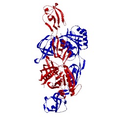 Image of CATH 2nqk