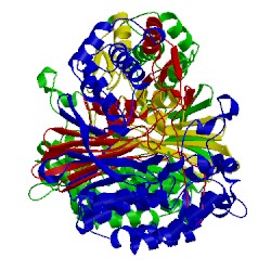 Image of CATH 2nqo