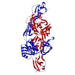 Image of CATH 2nqr