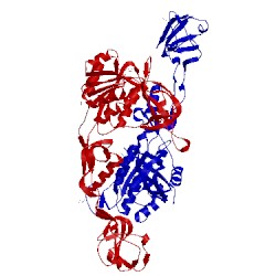 Image of CATH 2nqs
