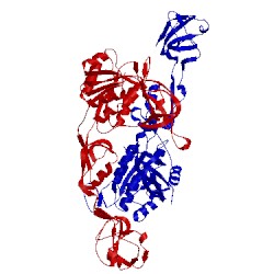Image of CATH 2nrs