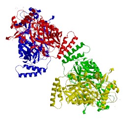 Image of CATH 2nsi