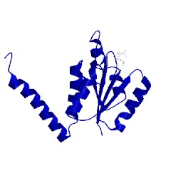 Image of CATH 2nsl