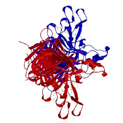 Image of CATH 2nsp