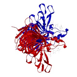 Image of CATH 2nst
