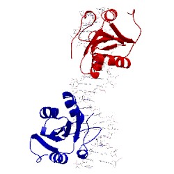 Image of CATH 2ntc