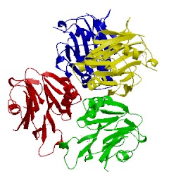 Image of CATH 2ntl