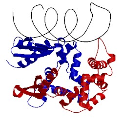 Image of CATH 2nue