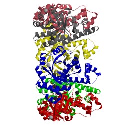 Image of CATH 2nv1