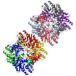 Image of CATH 2nv9