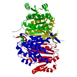 Image of CATH 2nwq