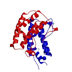Image of CATH 2nxb