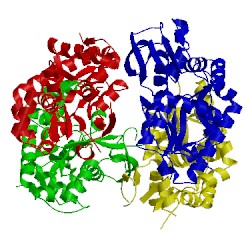 Image of CATH 2nxo
