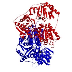 Image of CATH 2nxw